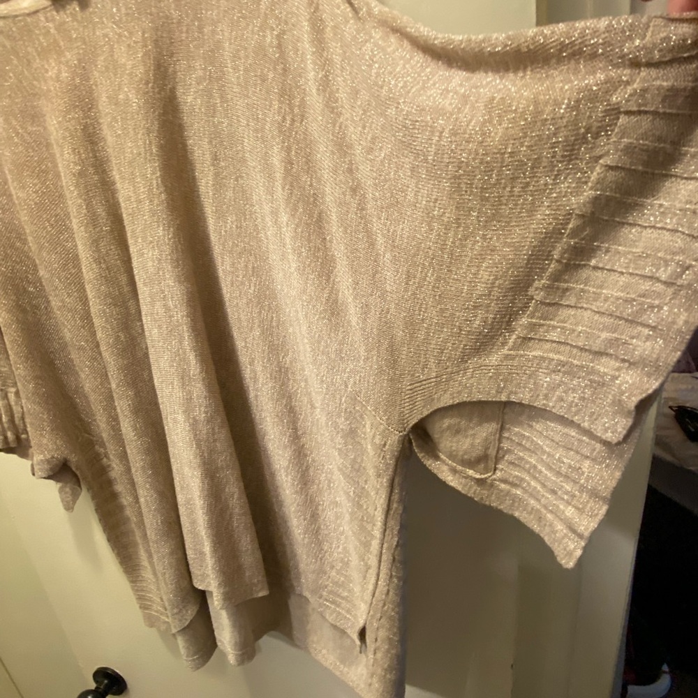 Anthropologie Sparkle Sweater, 2X